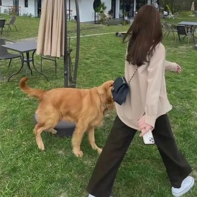 绿箭侠第二季
